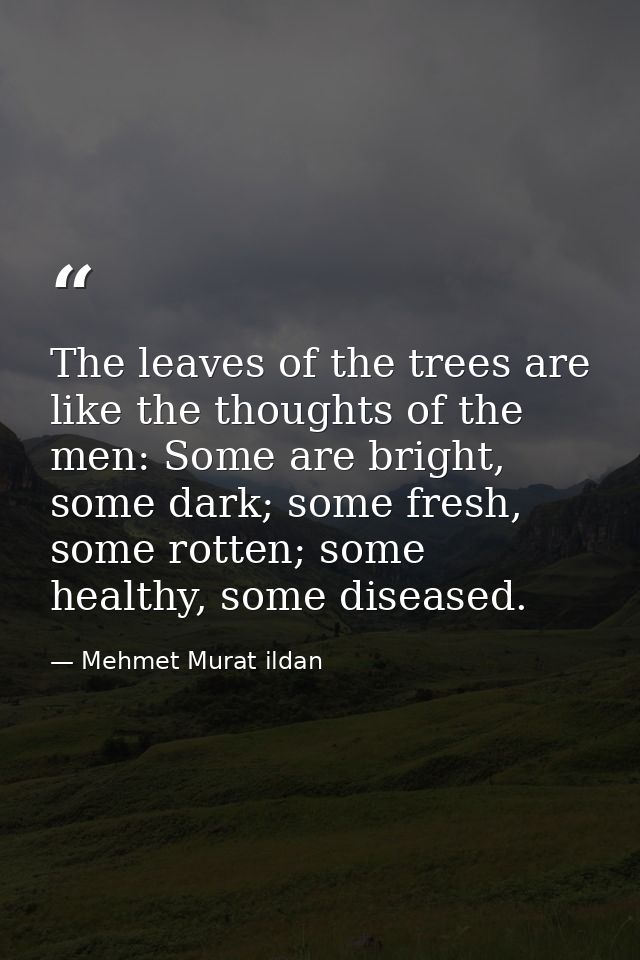 The leaves of the trees are like the thoughts of the men: Some are bright, some dark; some fresh, some rotten; some heal — Mehmet Murat ildan