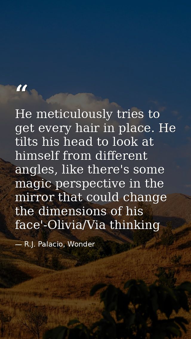 He meticulously tries to get every hair in place. He tilts his head to look at himself from different angles, like there — R.J. Palacio, Wonder