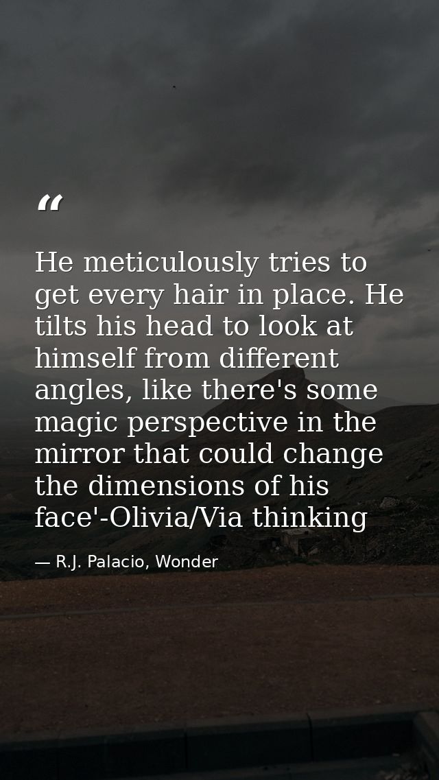 He meticulously tries to get every hair in place. He tilts his head to look at himself from different angles, like there — R.J. Palacio, Wonder