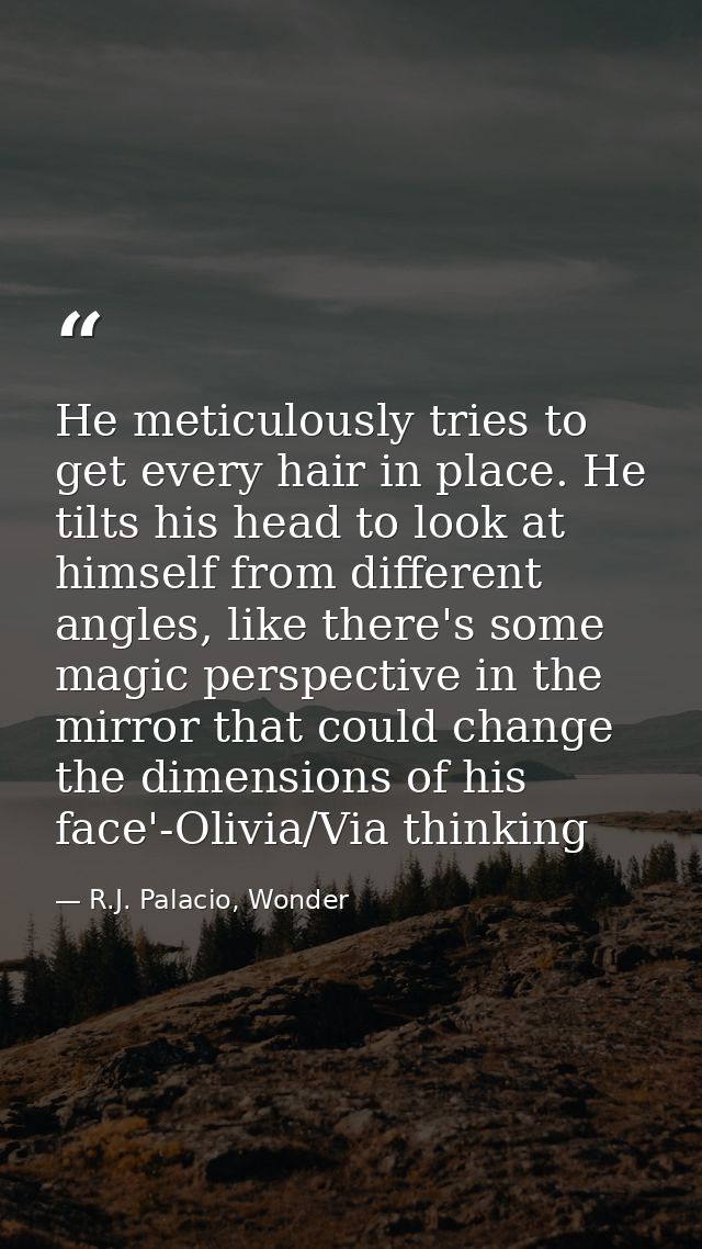 He meticulously tries to get every hair in place. He tilts his head to look at himself from different angles, like there — R.J. Palacio, Wonder