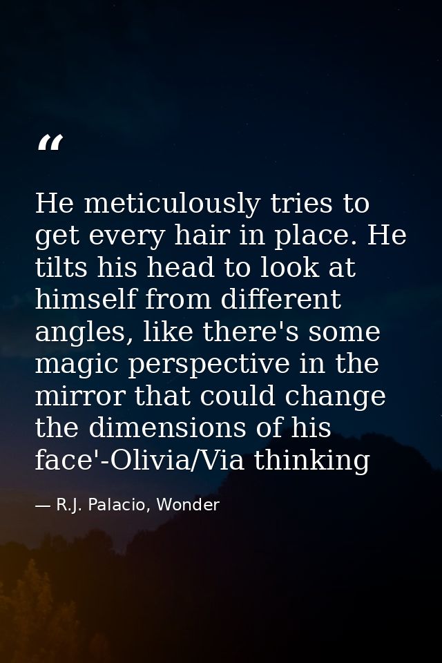 He meticulously tries to get every hair in place. He tilts his head to look at himself from different angles, like there — R.J. Palacio, Wonder