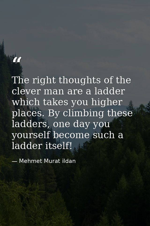 The right thoughts of the clever man are a ladder which takes you higher places. By climbing these ladders, one day you  — Mehmet Murat ildan