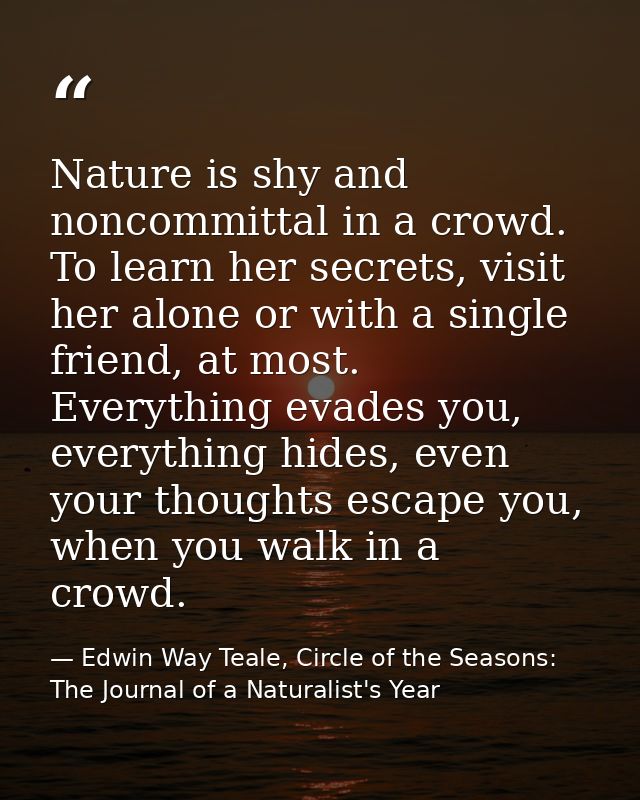 Nature is shy and noncommittal in a crowd. To learn her secrets, visit her alone or with a single friend, at most. Every — Edwin Way Teale, Circle of the Seasons: The Journal of a Naturalist's Year