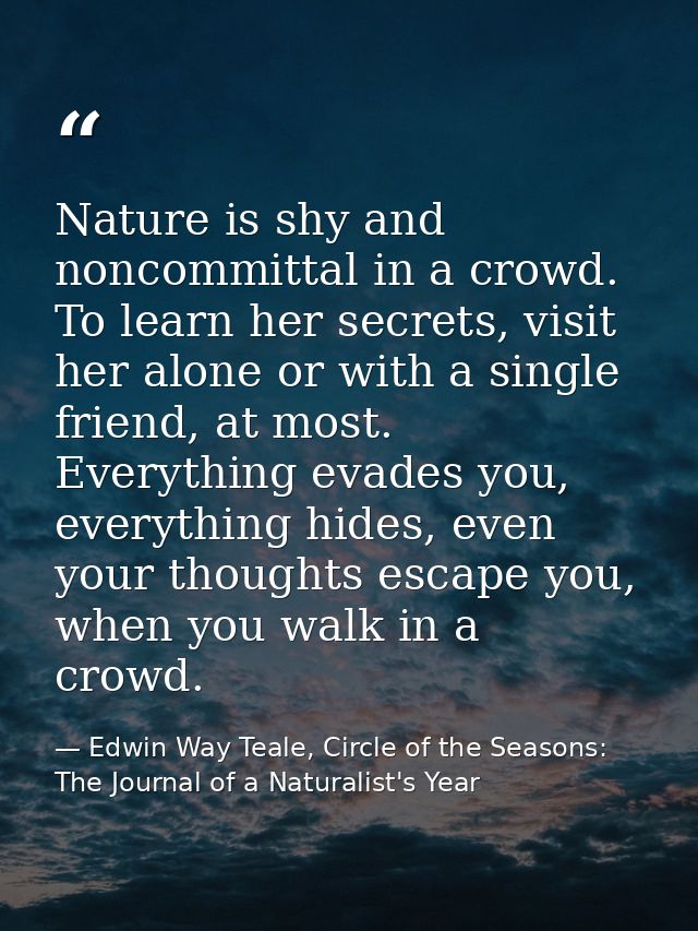 Nature is shy and noncommittal in a crowd. To learn her secrets, visit her alone or with a single friend, at most. Every — Edwin Way Teale, Circle of the Seasons: The Journal of a Naturalist's Year