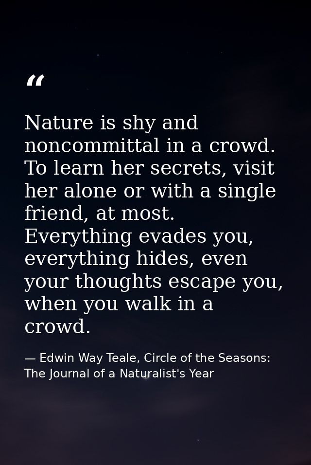 Nature is shy and noncommittal in a crowd. To learn her secrets, visit her alone or with a single friend, at most. Every — Edwin Way Teale, Circle of the Seasons: The Journal of a Naturalist's Year