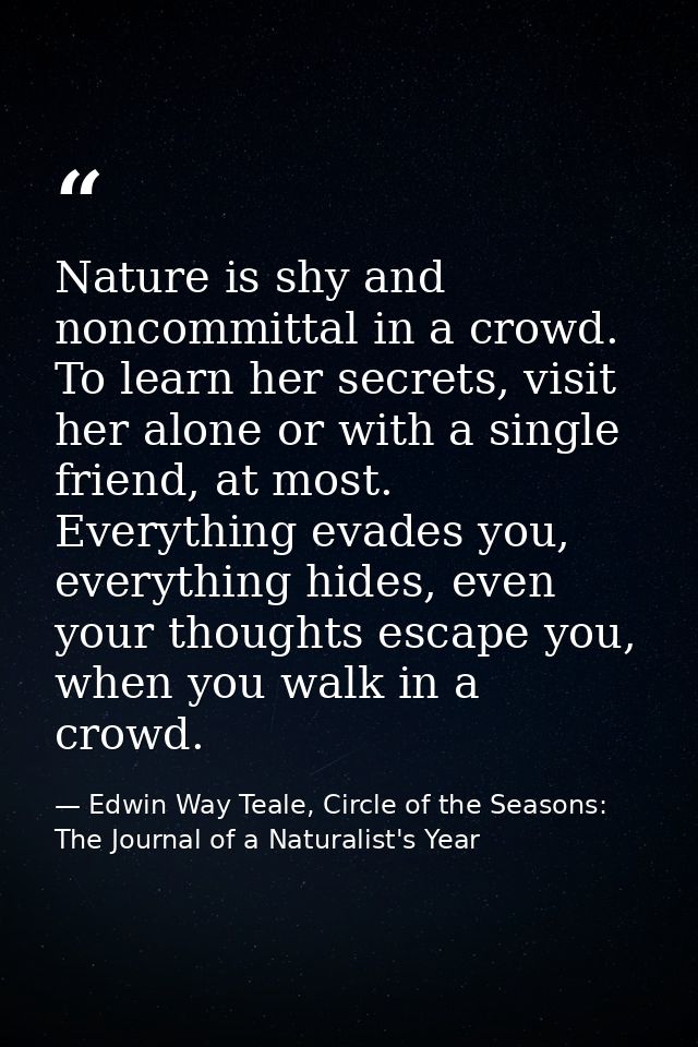 Nature is shy and noncommittal in a crowd. To learn her secrets, visit her alone or with a single friend, at most. Every — Edwin Way Teale, Circle of the Seasons: The Journal of a Naturalist's Year