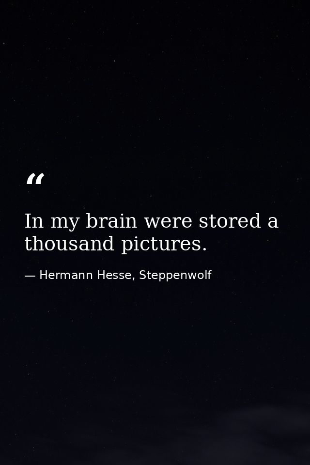 In my brain were stored a thousand pictures. — Hermann Hesse, Steppenwolf