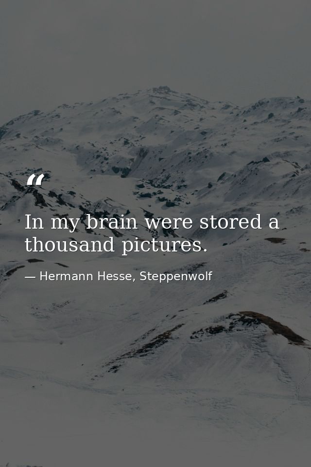 In my brain were stored a thousand pictures. — Hermann Hesse, Steppenwolf