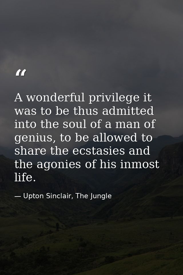 A wonderful privilege it was to be thus admitted into the soul of a man of genius, to be allowed to share the ecstasies  — Upton Sinclair, The Jungle
