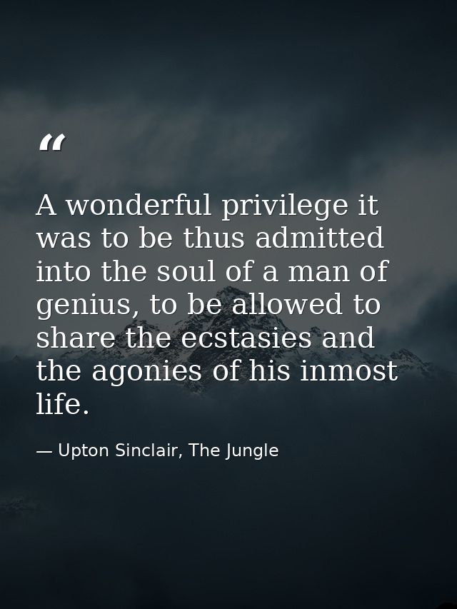 A wonderful privilege it was to be thus admitted into the soul of a man of genius, to be allowed to share the ecstasies  — Upton Sinclair, The Jungle