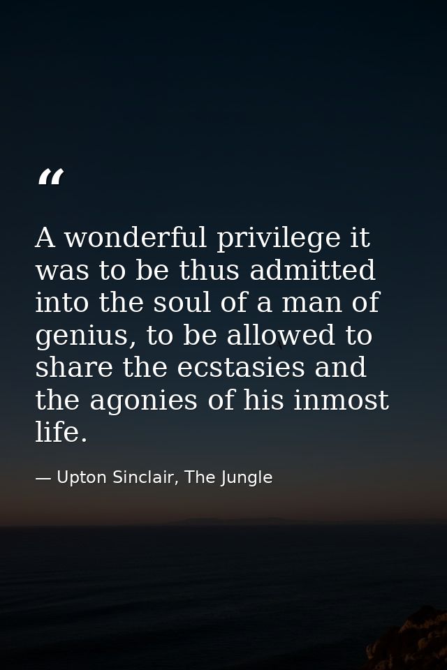 A wonderful privilege it was to be thus admitted into the soul of a man of genius, to be allowed to share the ecstasies  — Upton Sinclair, The Jungle