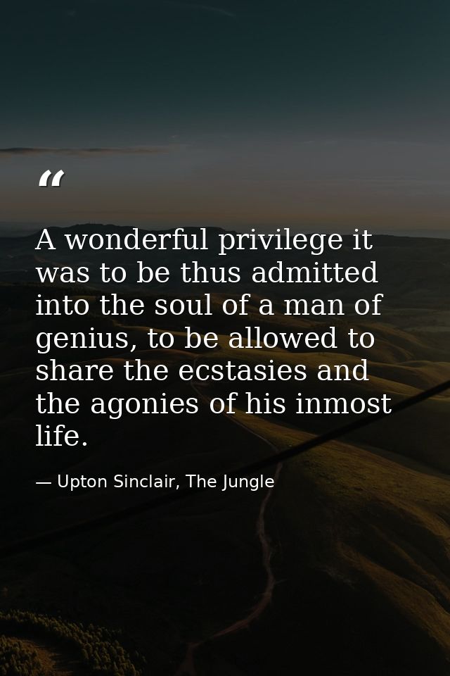 A wonderful privilege it was to be thus admitted into the soul of a man of genius, to be allowed to share the ecstasies  — Upton Sinclair, The Jungle