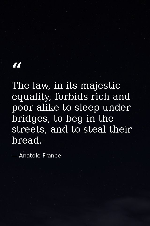 The law, in its majestic equality, forbids rich and poor alike to sleep under bridges, to beg in the streets, and to ste — Anatole France