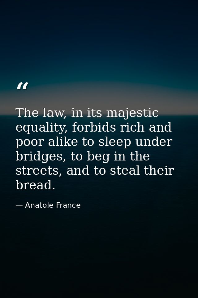 The law, in its majestic equality, forbids rich and poor alike to sleep under bridges, to beg in the streets, and to ste — Anatole France