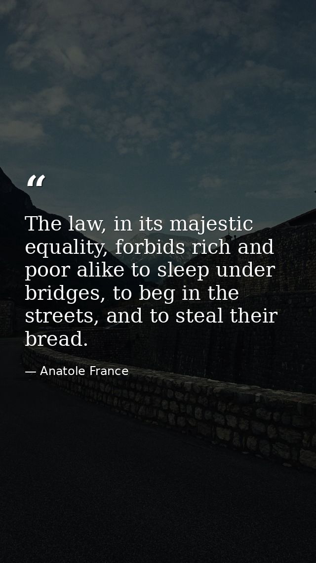 The law, in its majestic equality, forbids rich and poor alike to sleep under bridges, to beg in the streets, and to ste — Anatole France