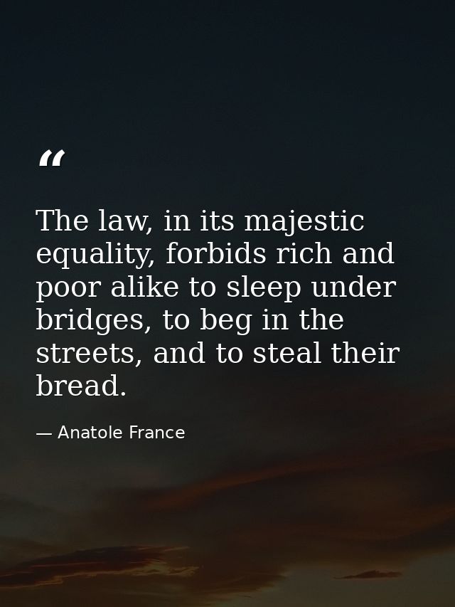 The law, in its majestic equality, forbids rich and poor alike to sleep under bridges, to beg in the streets, and to ste — Anatole France