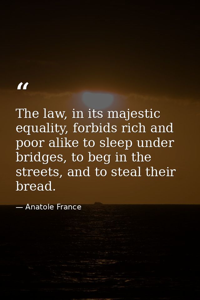 The law, in its majestic equality, forbids rich and poor alike to sleep under bridges, to beg in the streets, and to ste — Anatole France