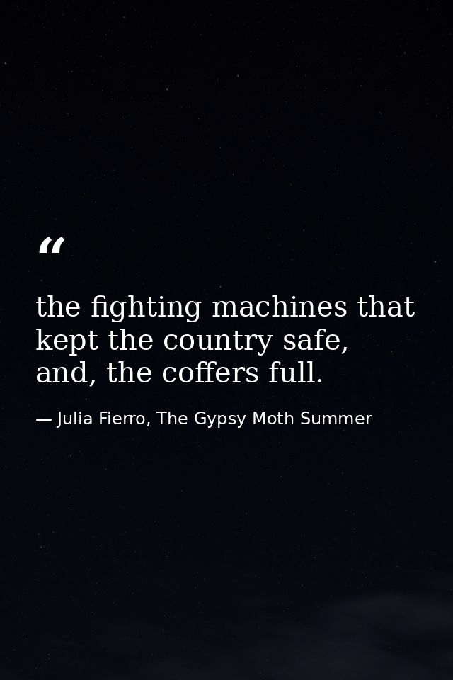the fighting machines that kept the country safe, and, the coffers full. — Julia Fierro, The Gypsy Moth Summer