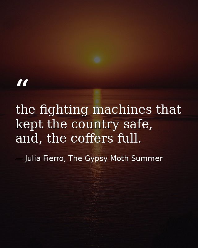 the fighting machines that kept the country safe, and, the coffers full. — Julia Fierro, The Gypsy Moth Summer