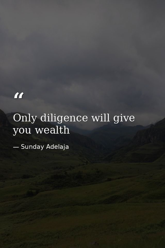 Only diligence will give you wealth — Sunday Adelaja