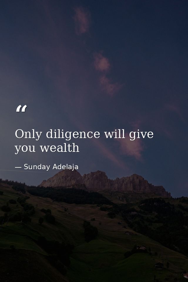 Only diligence will give you wealth — Sunday Adelaja