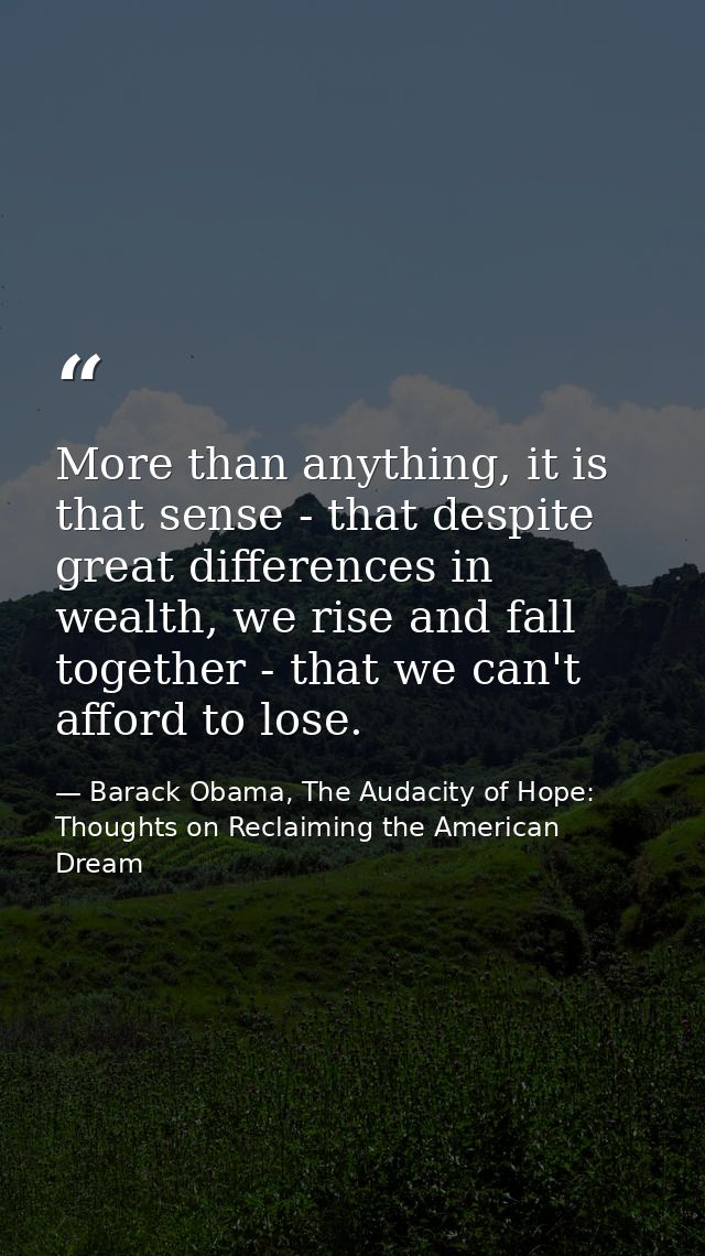 More than anything, it is that sense - that despite great differences in wealth, we rise and fall together - that we can — Barack Obama, The Audacity of Hope: Thoughts on Reclaiming the American Dream