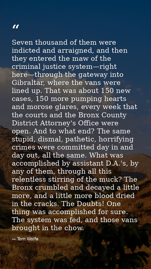 Seven thousand of them were indicted and arraigned, and then they entered the maw of the criminal justice system—right h — Tom Wolfe
