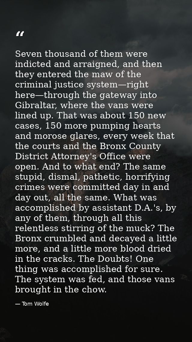 Seven thousand of them were indicted and arraigned, and then they entered the maw of the criminal justice system—right h — Tom Wolfe