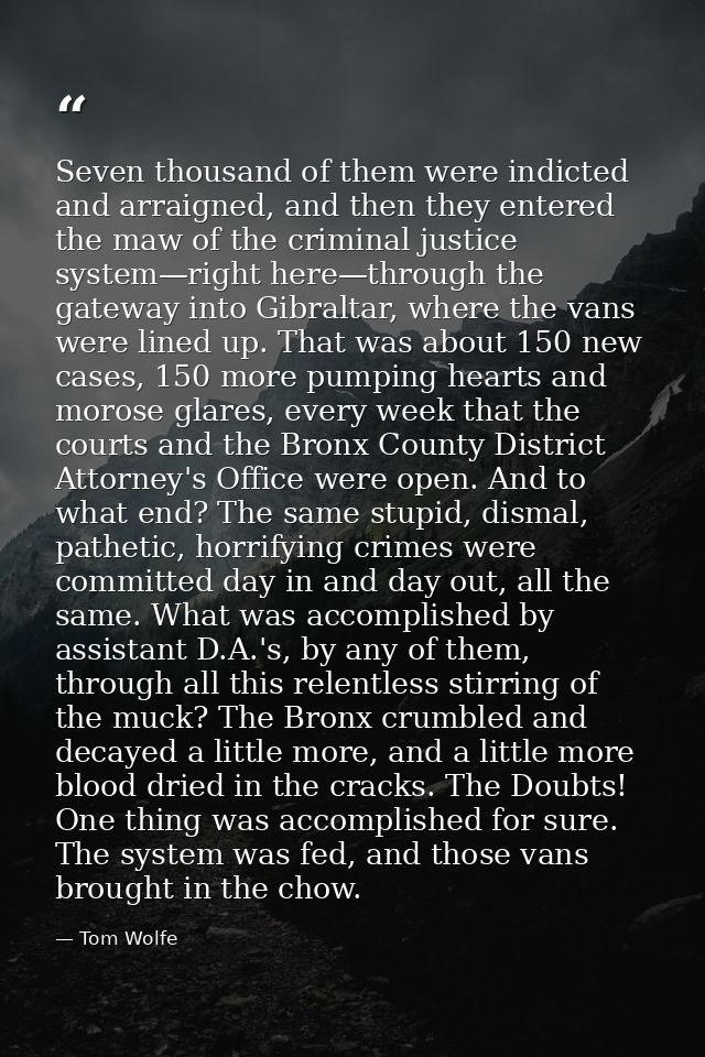 Seven thousand of them were indicted and arraigned, and then they entered the maw of the criminal justice system—right h — Tom Wolfe
