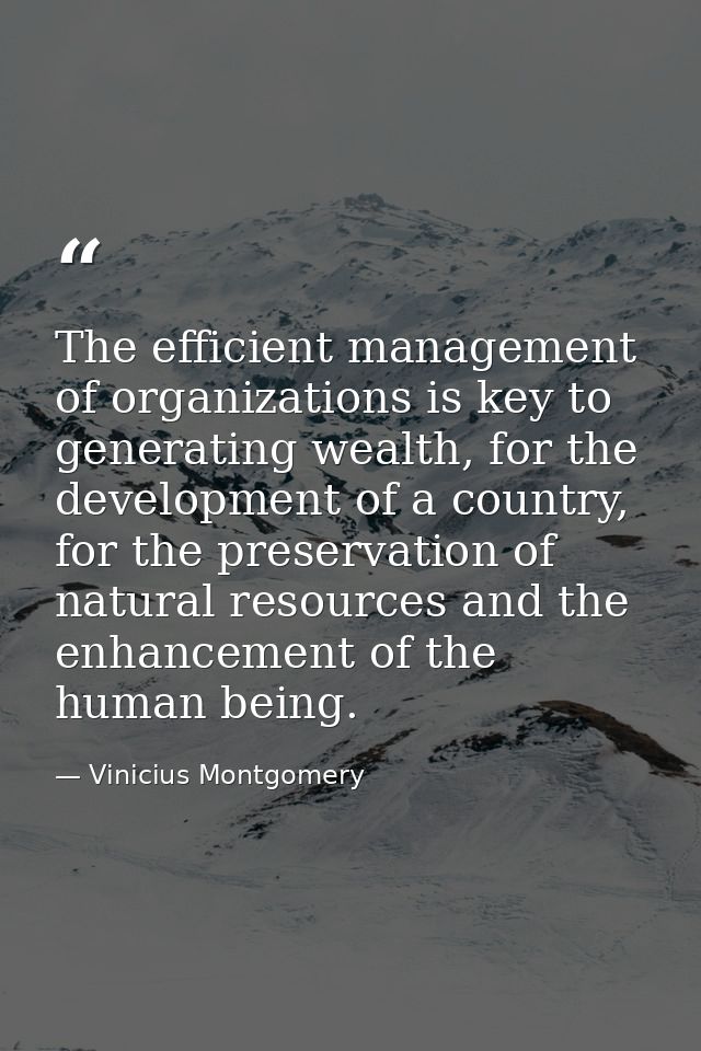 The efficient management of organizations is key to generating wealth, for the development of a country, for the preserv — Vinicius Montgomery