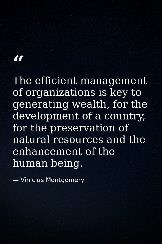 The efficient management of organizations is key to generating wealth, for the development of a country, for the preserv — Vinicius Montgomery