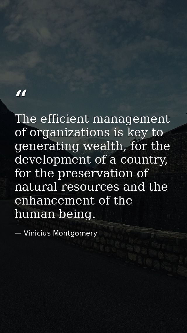 The efficient management of organizations is key to generating wealth, for the development of a country, for the preserv — Vinicius Montgomery