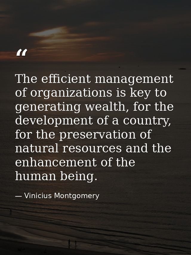 The efficient management of organizations is key to generating wealth, for the development of a country, for the preserv — Vinicius Montgomery