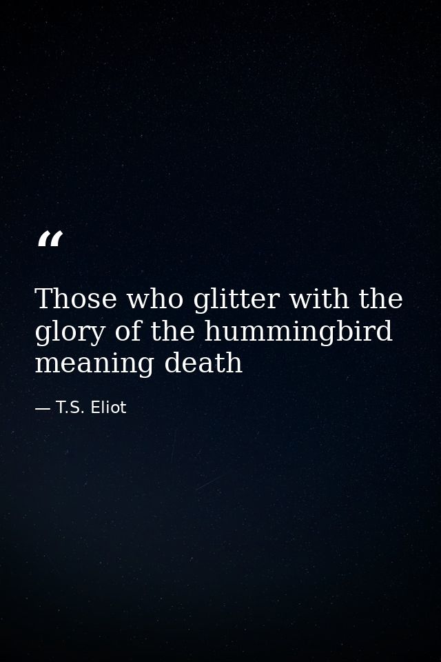 Those who glitter with the glory of the hummingbird meaning death — T.S. Eliot