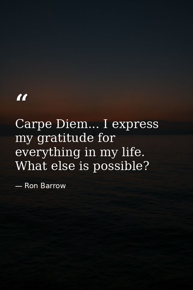 Carpe Diem... I express my gratitude for everything in my life. What else is possible? — Ron Barrow