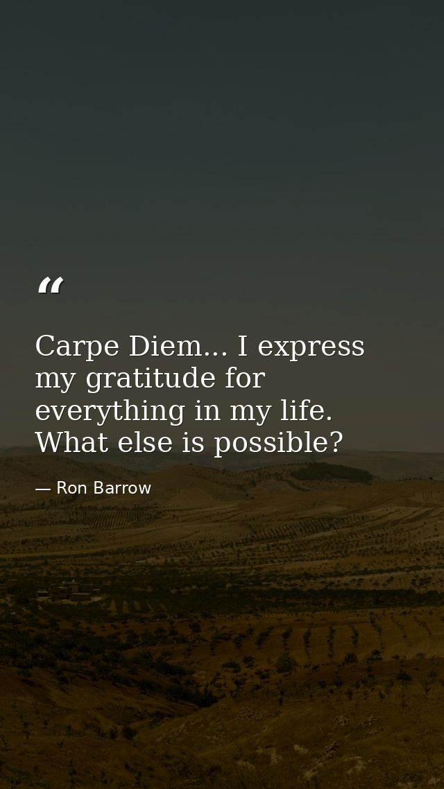 Carpe Diem... I express my gratitude for everything in my life. What else is possible? — Ron Barrow