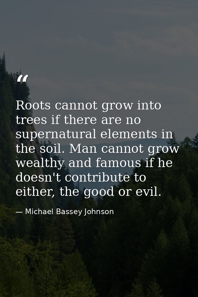 Roots cannot grow into trees if there are no supernatural elements in the soil. Man cannot grow wealthy and famous if he — Michael Bassey Johnson