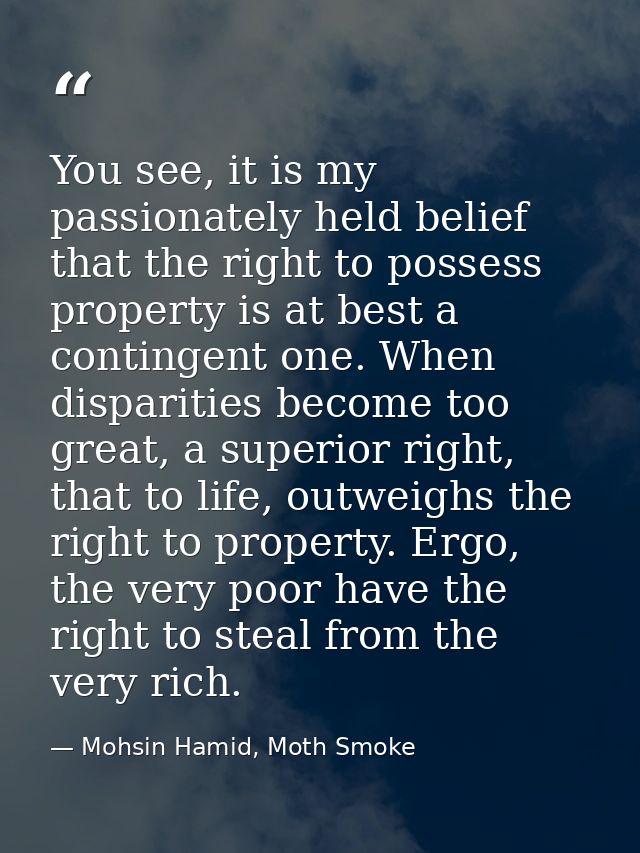 You see, it is my passionately held belief that the right to possess property is at best a contingent one. When disparit — Mohsin Hamid, Moth Smoke