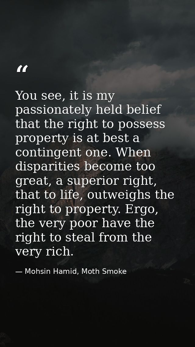 You see, it is my passionately held belief that the right to possess property is at best a contingent one. When disparit — Mohsin Hamid, Moth Smoke