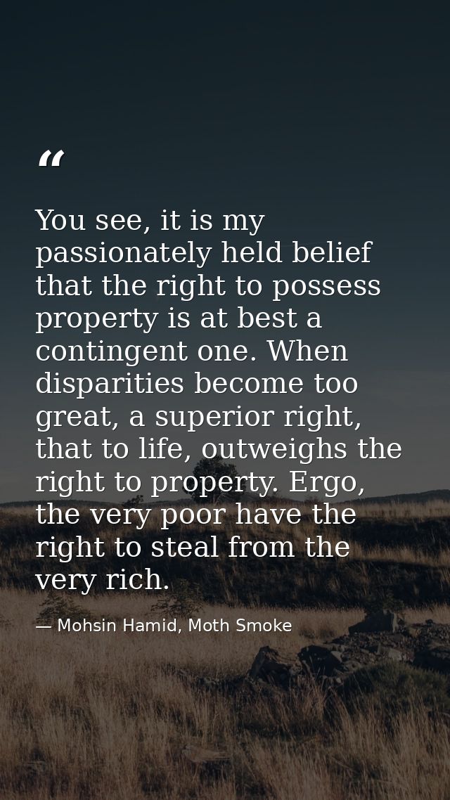 You see, it is my passionately held belief that the right to possess property is at best a contingent one. When disparit — Mohsin Hamid, Moth Smoke