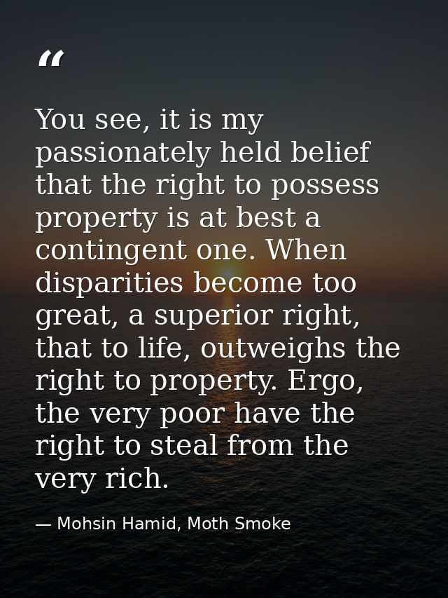 You see, it is my passionately held belief that the right to possess property is at best a contingent one. When disparit — Mohsin Hamid, Moth Smoke