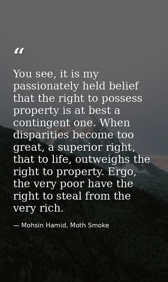 You see, it is my passionately held belief that the right to possess property is at best a contingent one. When disparit — Mohsin Hamid, Moth Smoke