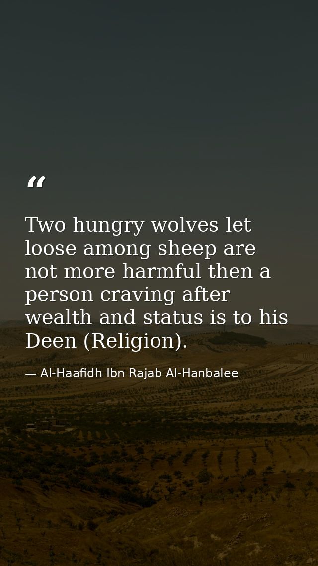 Two hungry wolves let loose among sheep are not more harmful then a person craving after wealth and status is to his Dee — Al-Haafidh Ibn Rajab Al-Hanbalee