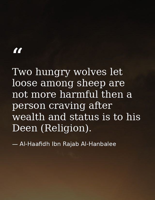 Two hungry wolves let loose among sheep are not more harmful then a person craving after wealth and status is to his Dee — Al-Haafidh Ibn Rajab Al-Hanbalee