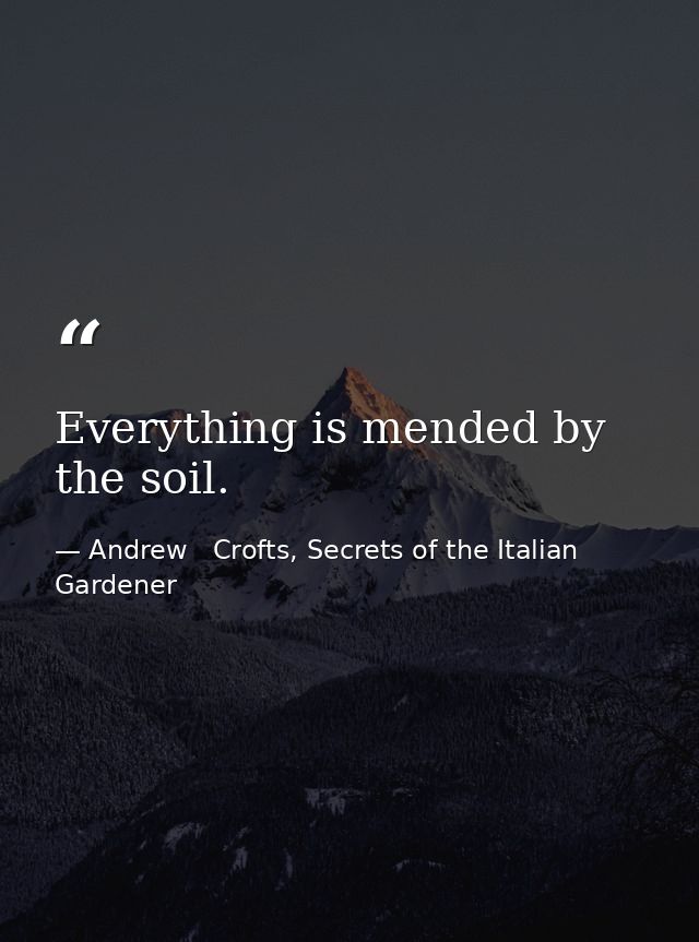 Everything is mended by the soil. — Andrew   Crofts, Secrets of the Italian Gardener