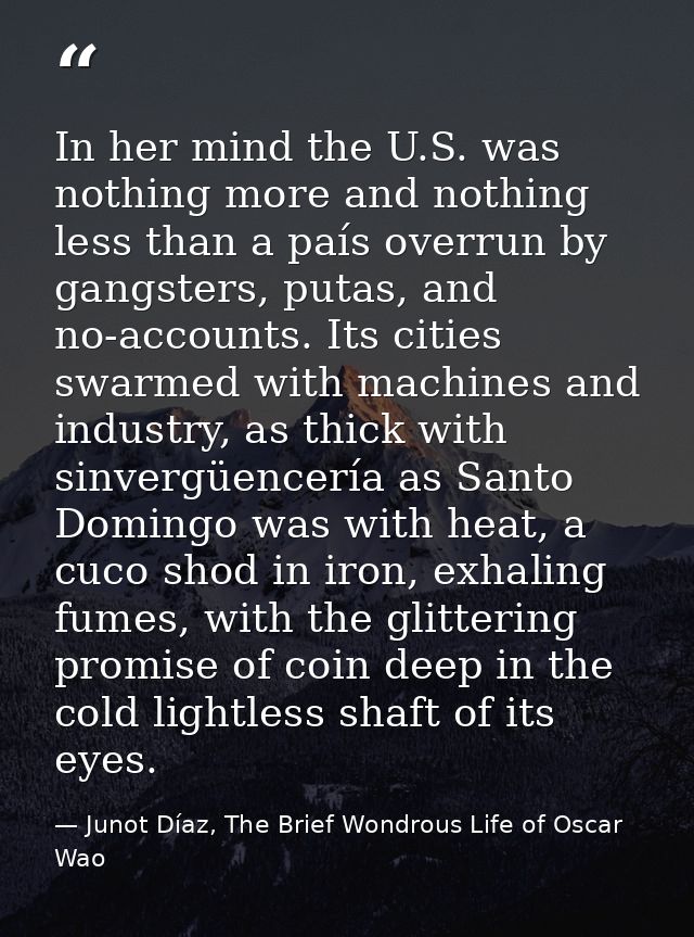 In her mind the U.S. was nothing more and nothing less than a país overrun by gangsters, putas, and no-accounts. Its cit — Junot Díaz, The Brief Wondrous Life of Oscar Wao