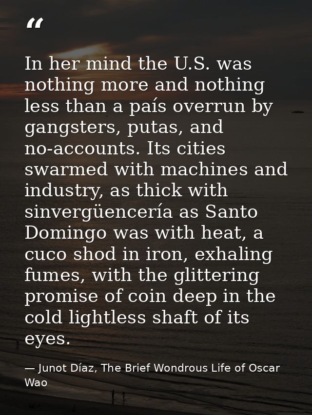 In her mind the U.S. was nothing more and nothing less than a país overrun by gangsters, putas, and no-accounts. Its cit — Junot Díaz, The Brief Wondrous Life of Oscar Wao