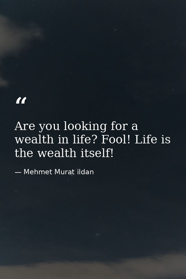 Are you looking for a wealth in life? Fool! Life is the wealth itself! — Mehmet Murat ildan