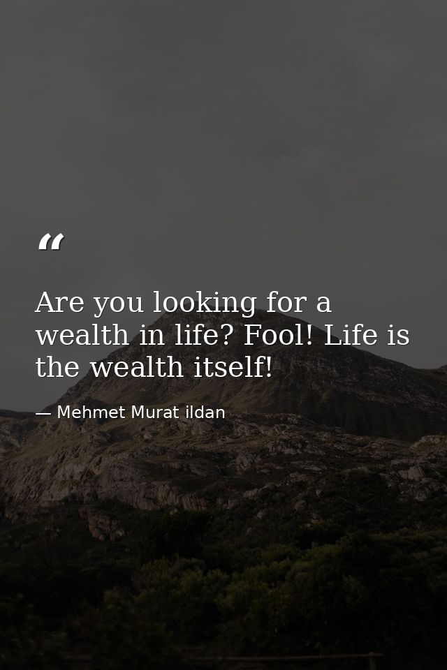 Are you looking for a wealth in life? Fool! Life is the wealth itself! — Mehmet Murat ildan