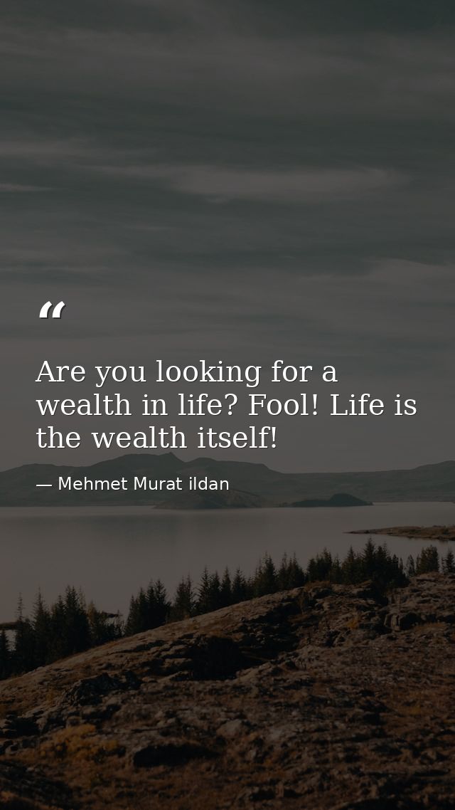 Are you looking for a wealth in life? Fool! Life is the wealth itself! — Mehmet Murat ildan